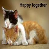 sticker_12303920_28750224