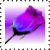 sticker_26786439_37275992