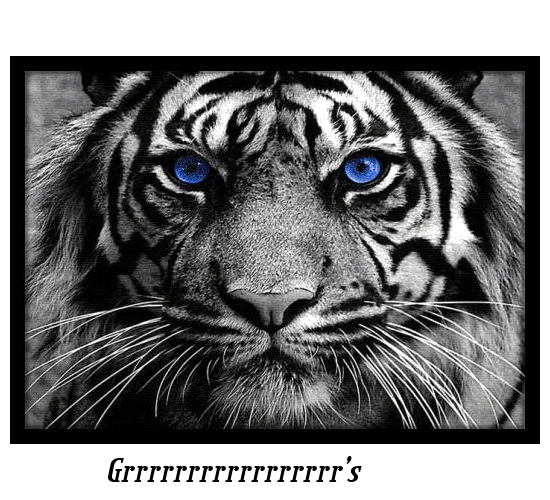 sticker_10298449_29996499