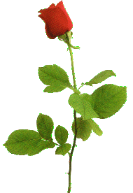 sticker_11382286_25649470
