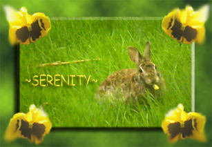 sticker_19312277_37470788