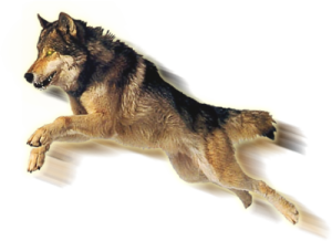 sticker_1445224_2675697