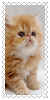 sticker_6118174_32763895