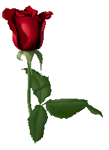 sticker_565746_5273633