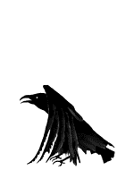 sticker_393201_1560490