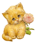 sticker_23285426_37119162