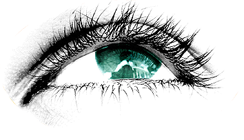 sticker_4984633_17641744