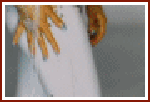 sticker_8255697_14178554