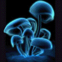 sticker_5321297_7176785