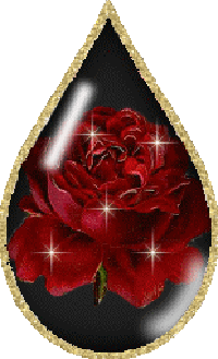 sticker_7163428_11060310