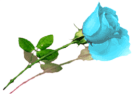sticker_12303920_28534582