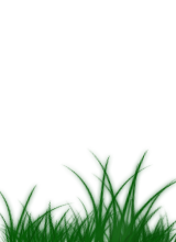 sticker_15535515_37165510