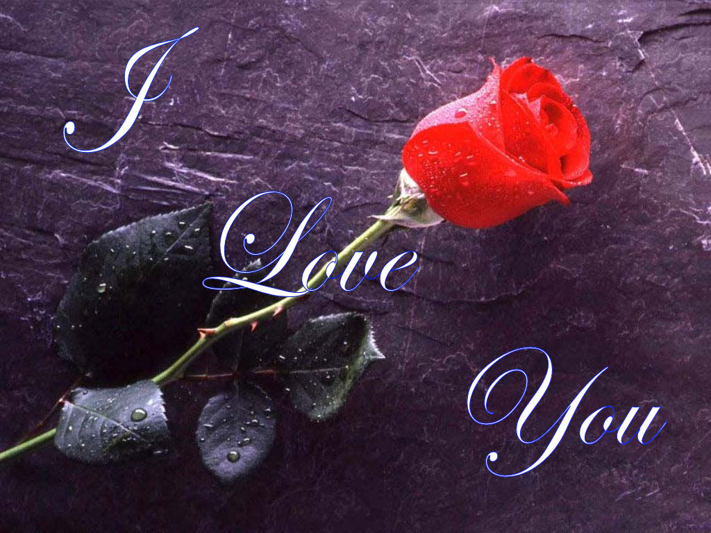 sticker_21577446_41558638