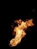 sticker_855776_6923574