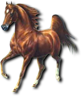 sticker_19071332_27007520