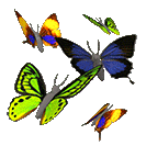 sticker_24727048_35493669