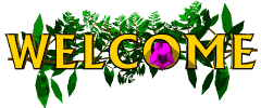 sticker_17110869_42103616