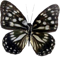 sticker_5407691_37631850