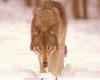 sticker_965471_7367365