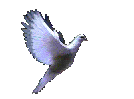 sticker_5412502_16444095