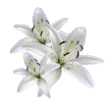 sticker_23047378_36181817