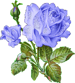 sticker_18678670_35362303