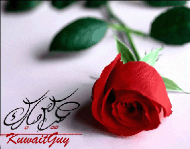 sticker_18886716_40792491