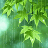 sticker_18881231_43556151