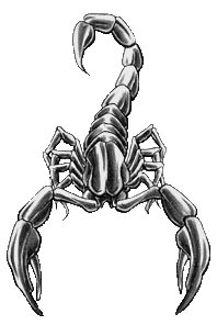 sticker_4043095_10640183