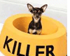 sticker_14158913_18773072
