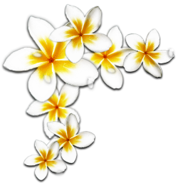 sticker_1164371_17113016