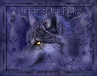 sticker_20004153_32204713