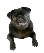 sticker_3341667_30245312