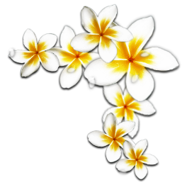 sticker_23052402_32480819