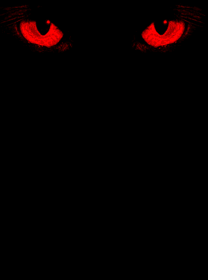 sticker_13094121_28842023