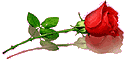 sticker_9182246_11612554