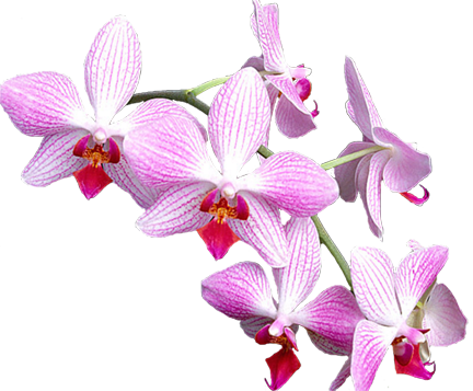 sticker_9147000_24329794