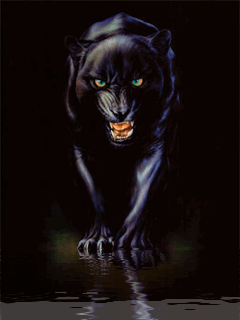 sticker_12195181_38076329