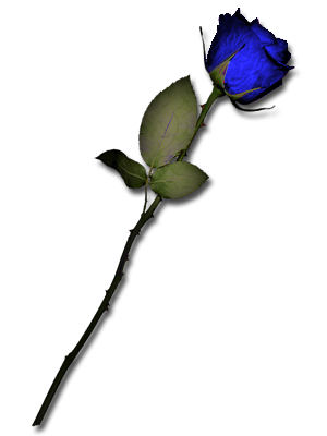 sticker_11338074_17382752