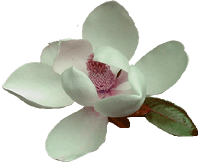 sticker_5260502_16929746