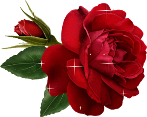 sticker_22795194_38030499