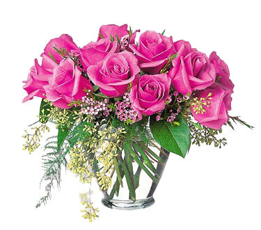 sticker_6517719_29886501