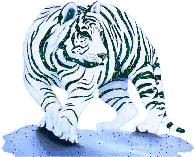 sticker_27336799_37373321