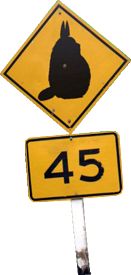 sticker_16157549_29094738