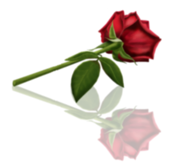 sticker_12195181_38076283