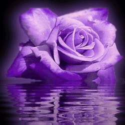 sticker_10414951_23589643