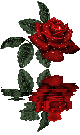 sticker_6816321_11808106