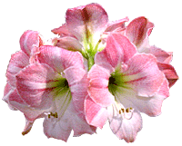sticker_2125402_2786203