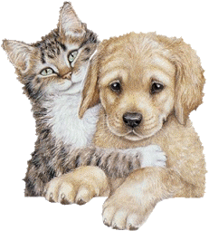 sticker_476273_18153294