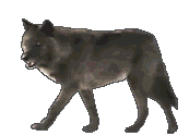 sticker_29356147_43441103